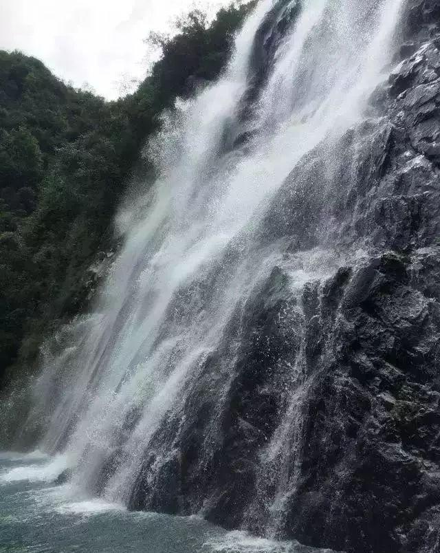 虫虫助手下载
