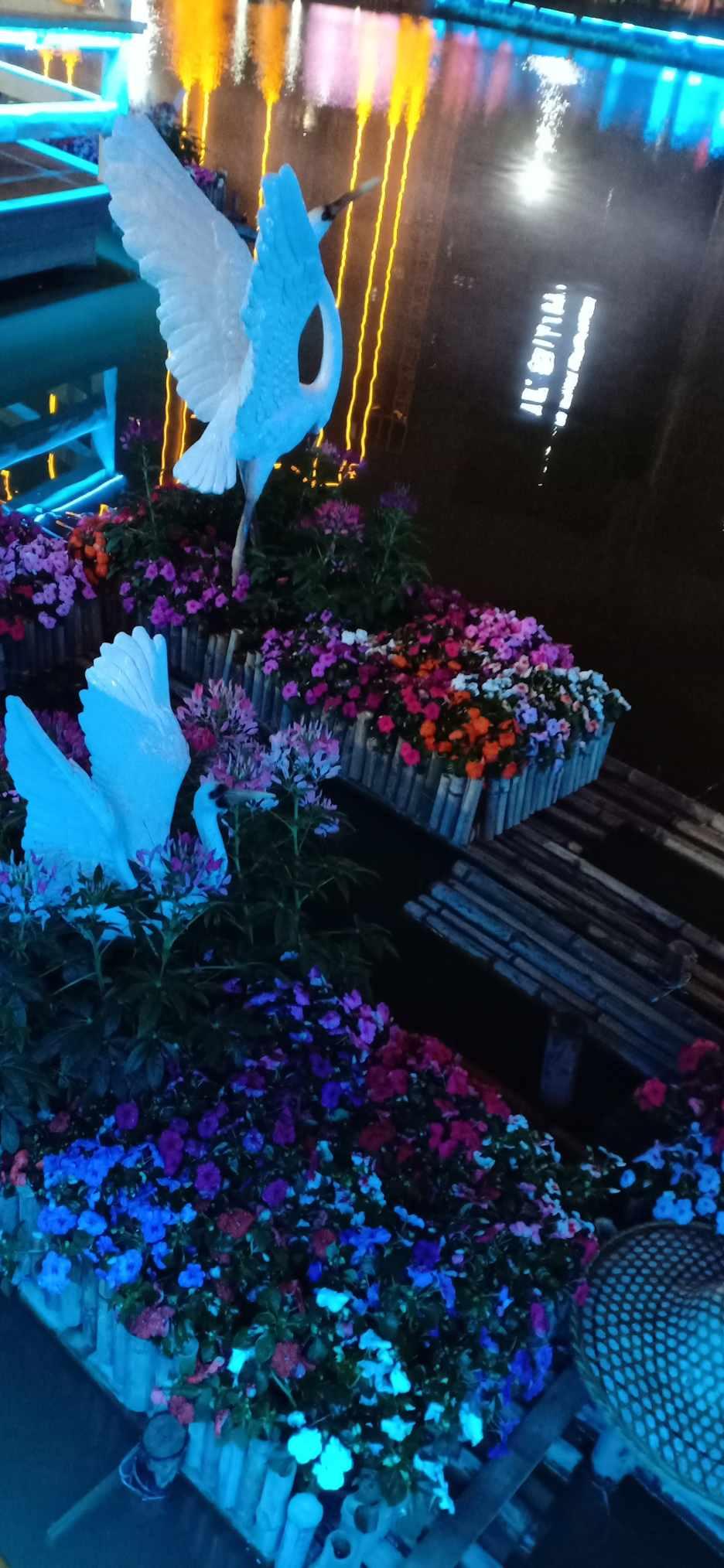 小汪汪